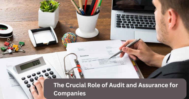 The Crucial Role of Audit and Assurance for Companies