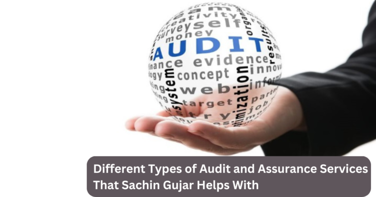 Different Types of Audit and Assurance Services That Sachin Gujar Helps With