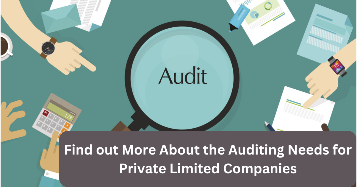 Find out More About the Auditing Needs for Private Limited Companies