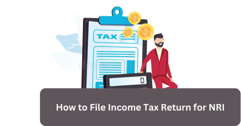 How to File Income Tax Return for NRI