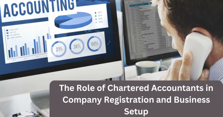 The Role of Chartered Accountants in Company Registration and Business Setup