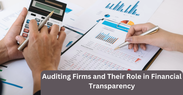 Auditing Firms and Their Role in Financial Transparency