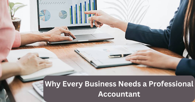 Why Every Business Needs a Professional Accountant