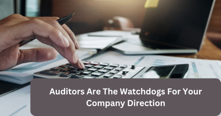 Auditors Are The Watchdogs For Your Company Direction