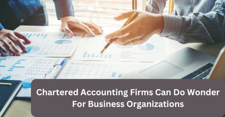 Chartered Accounting Firms Can Do Wonder For Business Organizations