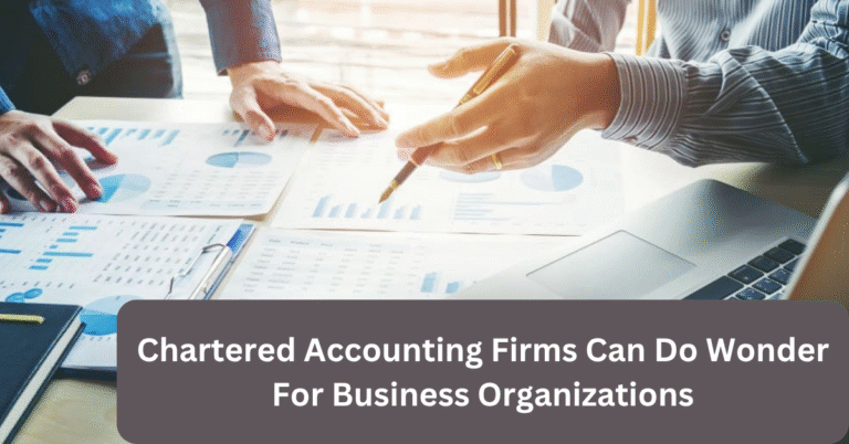 Chartered Accounting Firms Can Do Wonder For Business Organizations