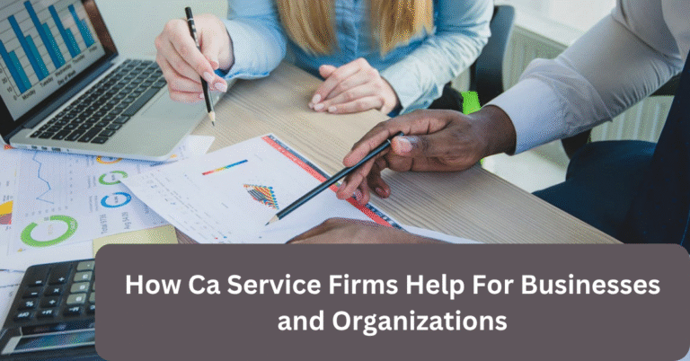 How Ca Service Firms Help For Businesses and Organizations