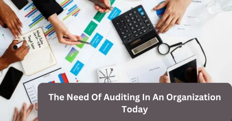 The Need Of Auditing In An Organization Today