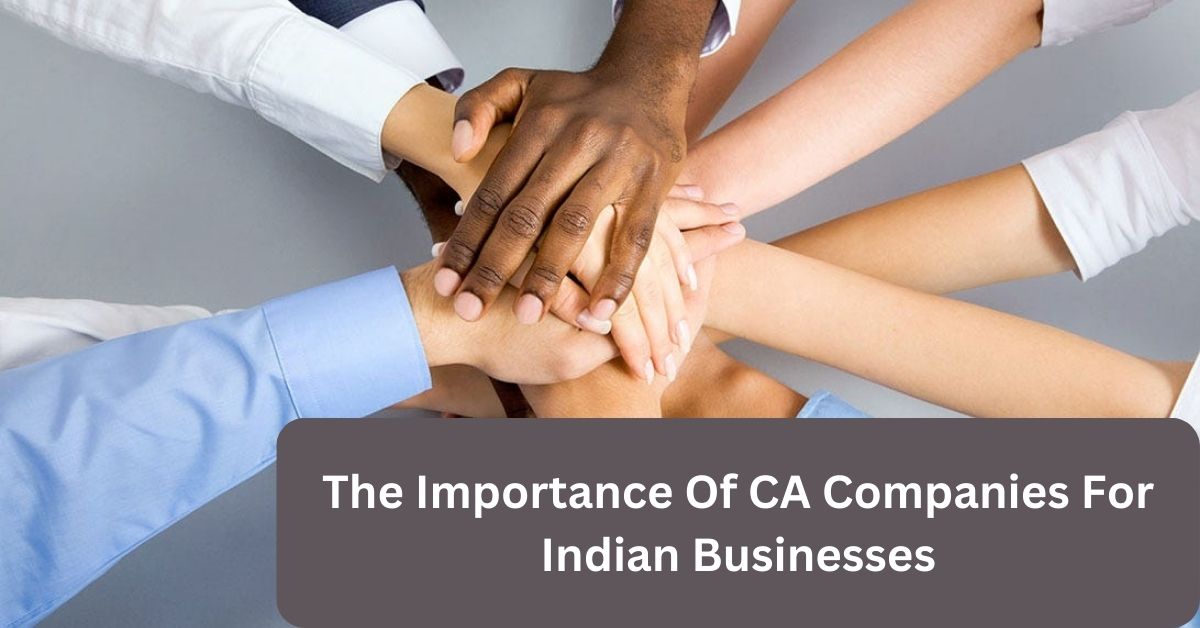 The Importance Of CA Companies For Indian Businesses