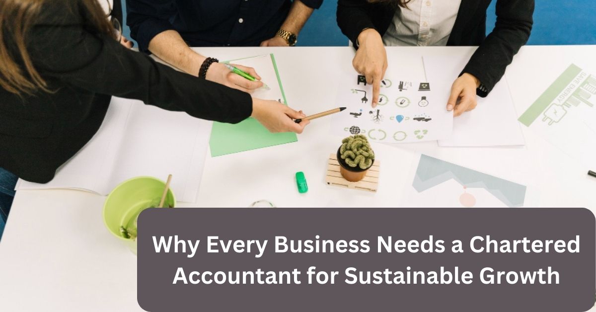 Why Every Business Needs a Chartered Accountant for Sustainable Growth