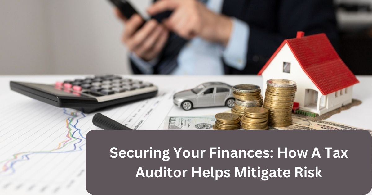 Securing Your Finances: How A Tax Auditor Helps Mitigate Risk